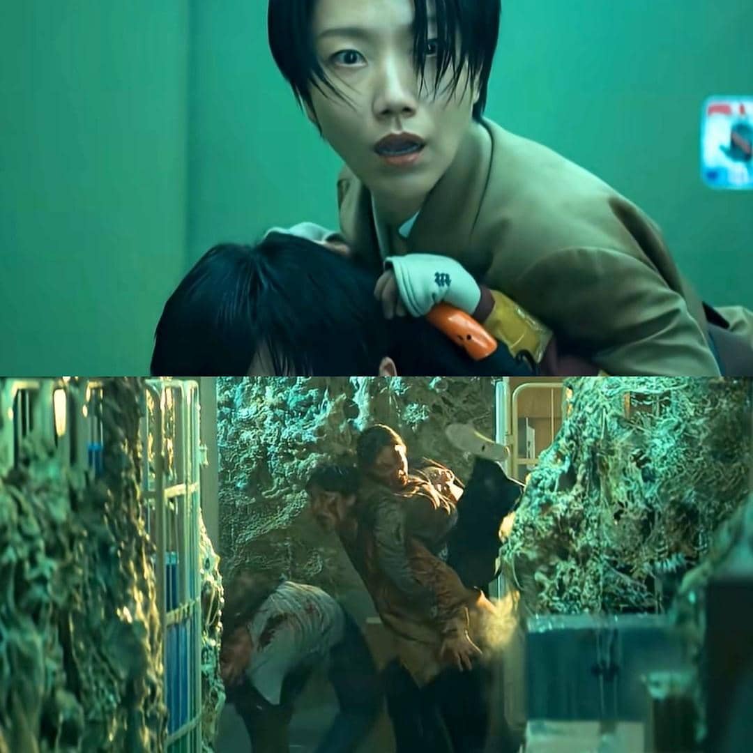魔兽新手盒子海量资源终端界面